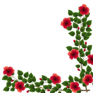 hibiscus yeşil yaprakları ve çiçekleri ile desen