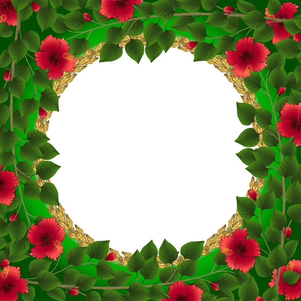 Рамка гібіскуса з зеленим листям і квітами — стоковий вектор