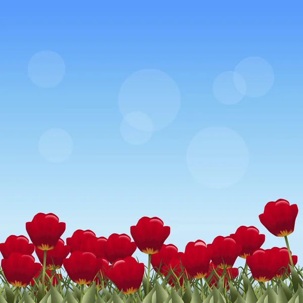 Gyep, virágok, vörös Tulipánokkal — Stock Vector