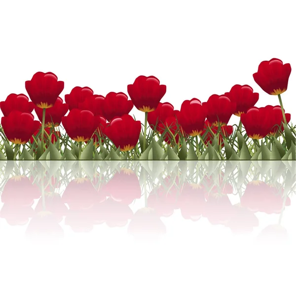 Gräsmatta med blommor Röda tulpaner och reflektion — Stock vektor