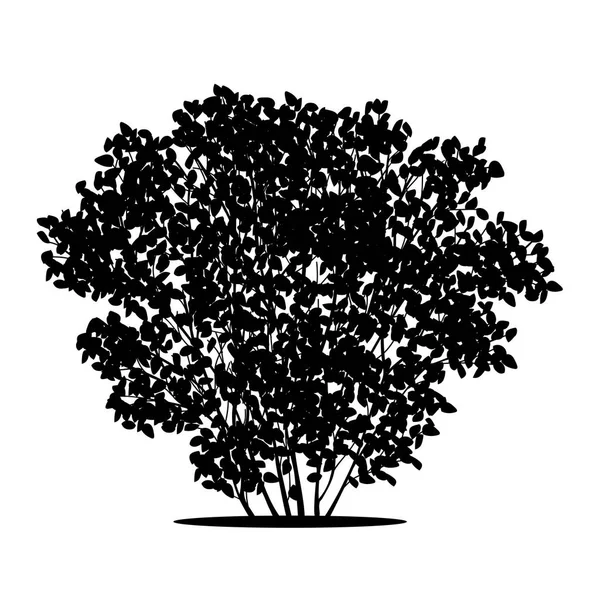 Buisson silhouette avec feuilles et ombre — Image vectorielle