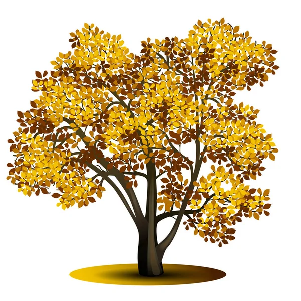 Μονοκατοικία δέντρο με τα κίτρινα φύλλα — Διανυσματικό Αρχείο
