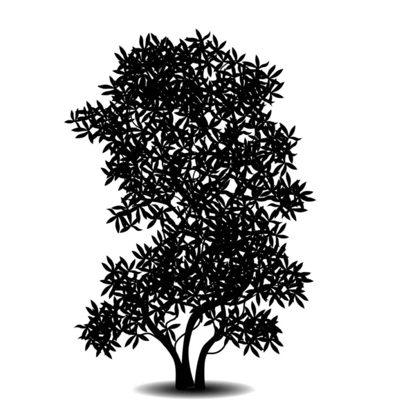 Silueta árbol separado con hojas — Vector de stock