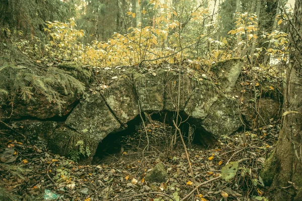 Viejo Puente Piedra Bosque Abandonado —  Fotos de Stock