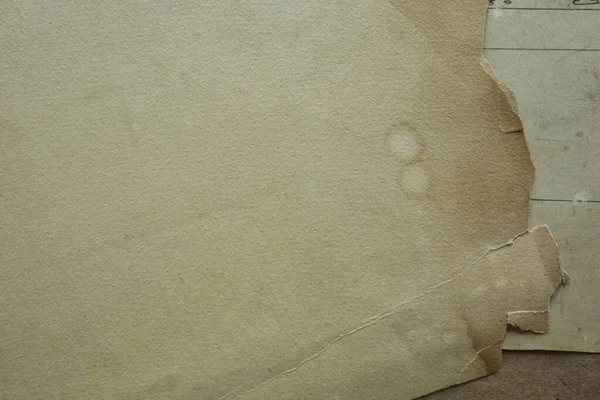 Texture of old drawing paper with spots