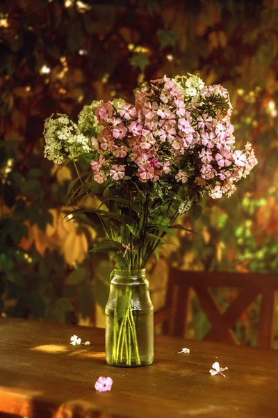 Bouquet Phlox Vase Garden Background Artistic Blur Bokeh — Stock Photo, Image