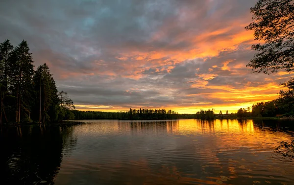 Sunset Forest Lake Leningrad Region Karelian Isthmus — Stock Photo, Image