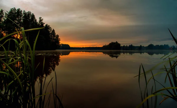 Sunset Landscape Forest Lake Karelian Isthmus — Stock Photo, Image