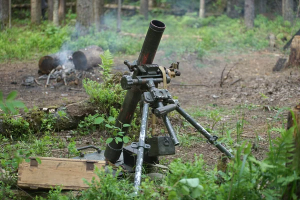 Yeşil ormanda 2. Dünya Savaşı 'ndan kalma bir havan topu.