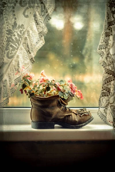 Ceramic Shoe Vase Flowers Stands Windowsill — Stock Photo, Image