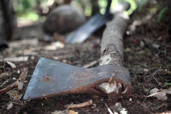 Gammal Rostig Yxa Ligger Marken Skogen — Stockfoto