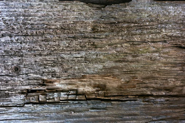 Textura Una Vieja Tabla Gris Madera —  Fotos de Stock