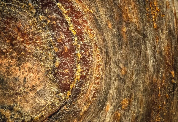 Texture Wood Resin Orange — Stock Photo, Image