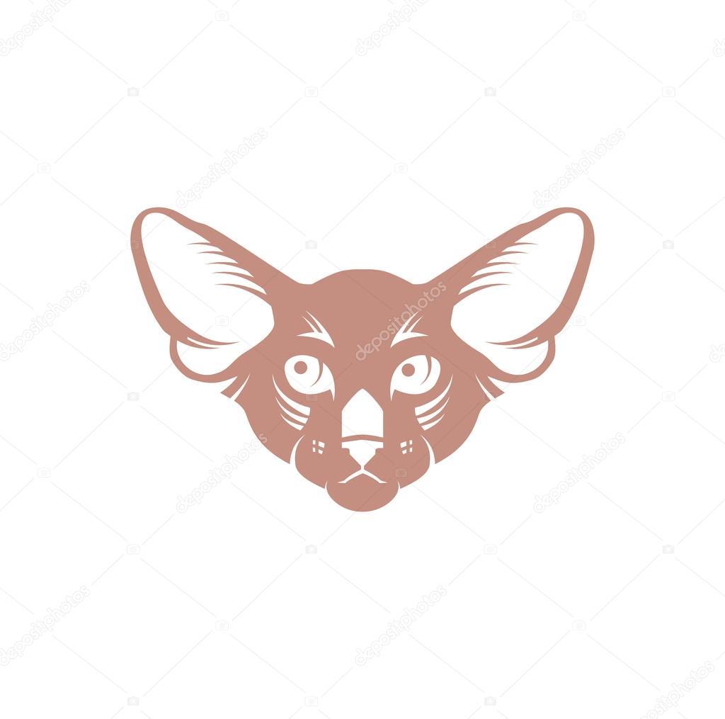imagem vetorial de um desenho de rosto de gato no fundo branco