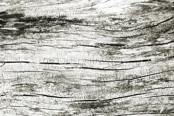 Old Wood Texture Background — Stock Photo, Image