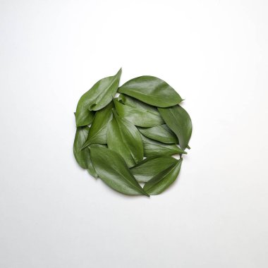 Yaprakları yapılmış yaratıcı doğa düzeni. Düz yatıyordu.