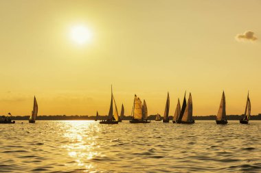 sailbot bir göl kenarında