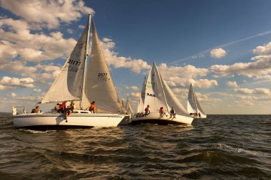 sailbot bir göl kenarında