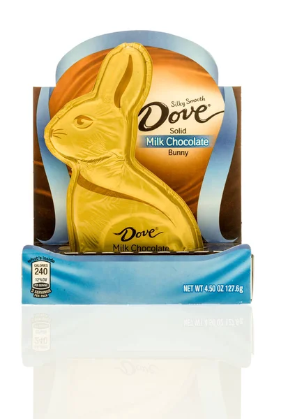 Chocolade bunny Pasen — Stockfoto