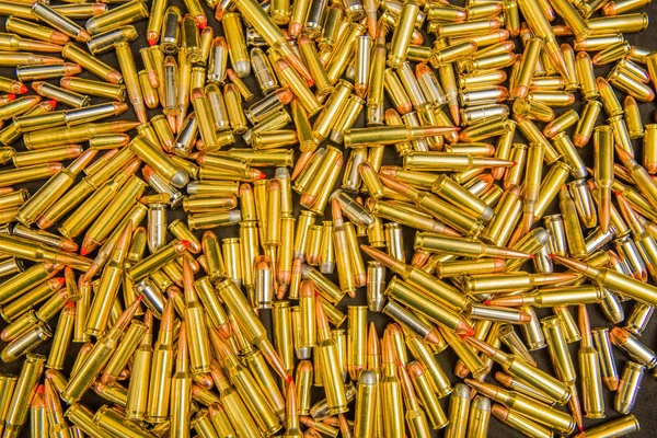 Shot Ammunition Different Hand Gun Pistol Rifle Calibers — Stock Photo, Image