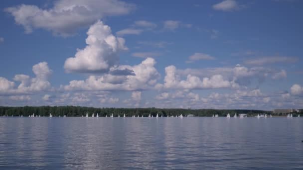 Muitos iates à vela no lago — Vídeo de Stock