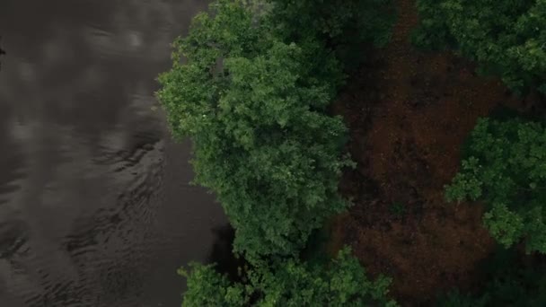 Young man and woman floating on a boat with oars on the forest river. Aerial — Stock Video