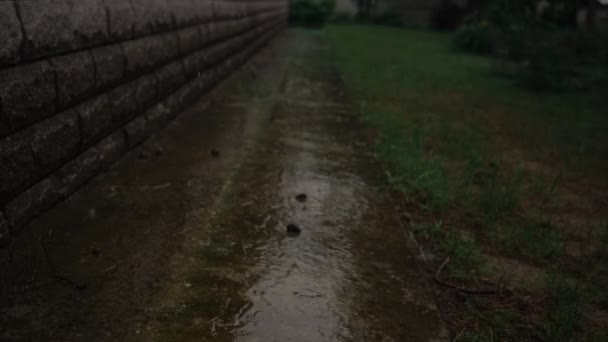 Regen tropft vom Dach in den Krabbelraum des Hauses — Stockvideo