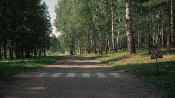 Pedestrian crossing for squirrels. Protection of protein. — Stock Video