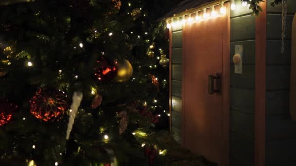 A karácsonyra díszített gyönyörű ház a karácsonyfákról szól. — Stock videók