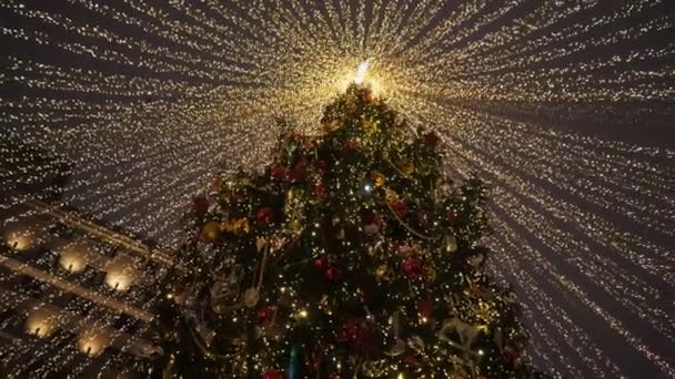 Χριστουγεννιάτικο δέντρο στην πόλη. Η κύρια πόλη Χριστουγεννιάτικο δέντρο. — Αρχείο Βίντεο
