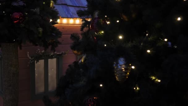 Vackert hus inrett till jul handlar om julgranar — Stockvideo