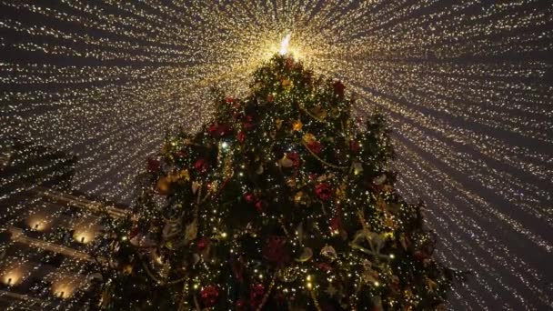 Árbol de Navidad en la ciudad. El principal árbol de Navidad de la ciudad. — Vídeos de Stock