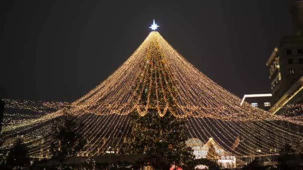 Arbre de Noël dans la ville. Le sapin de Noël de la ville principale. — Video