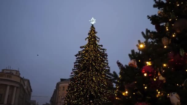 Árbol de Navidad en la ciudad. Lugar para el título — Vídeos de Stock