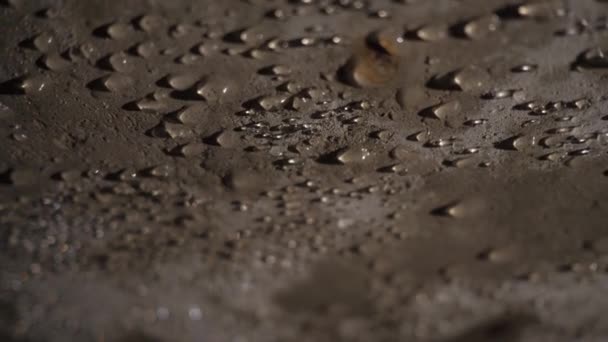 Wassertropfen auf der Bodenplatte. Unsachgemäße Verwendung von Betonkonstruktionen — Stockvideo