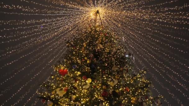 Árbol de Navidad en la ciudad. El principal árbol de Navidad de la ciudad. — Vídeo de stock