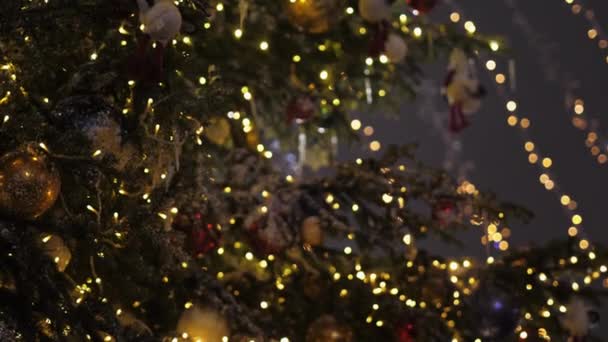 Närbild julgran med dekorationer: kottar, girlanger och ballonger — Stockvideo