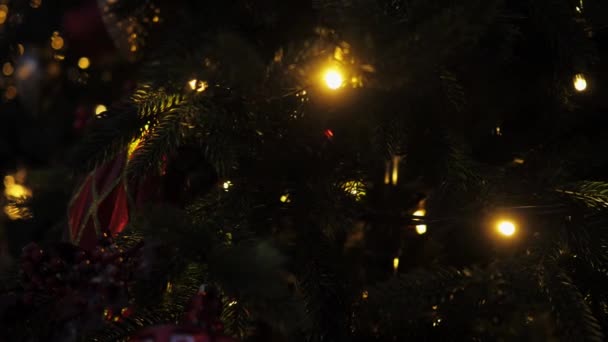 Крупный план елки с украшениями: сосновые шишки, гирлянды и воздушные шары — стоковое видео