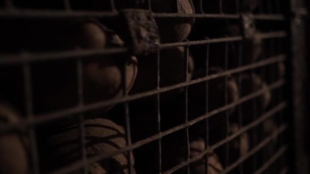 The potatoes stored in a metal box in a dark basement.Proper storage of potatoes — 비디오