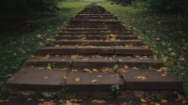 Die alte Treppe, übersät mit herbstgelben Blättern im grünen Wald. — Stockvideo