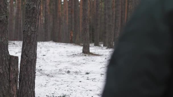 Un hombre está corriendo a través del bosque desde la cámara hasta la distancia . — Vídeos de Stock