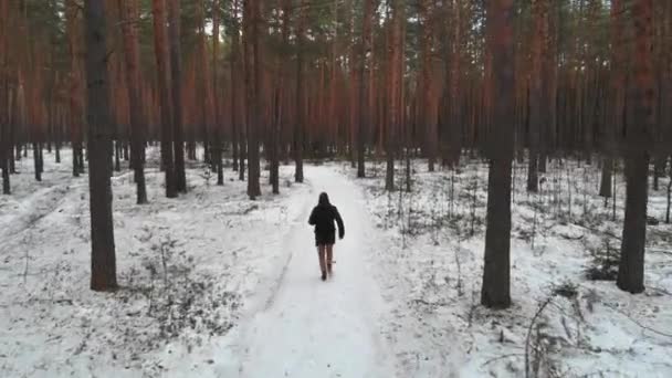 En man med portfölj springer i vinterskogen. Flygbild. — Stockvideo