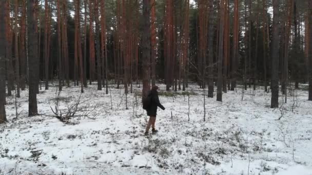 Man wandelen in de winter in het besneeuwde bos. Luchtfoto 4k — Stockvideo