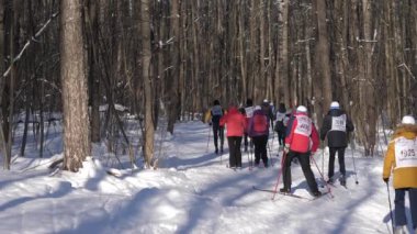 Rusya, Vladimir. 8 Şubat 2020. Yarışmalar kayak - Rusya 'nın kayak pisti.