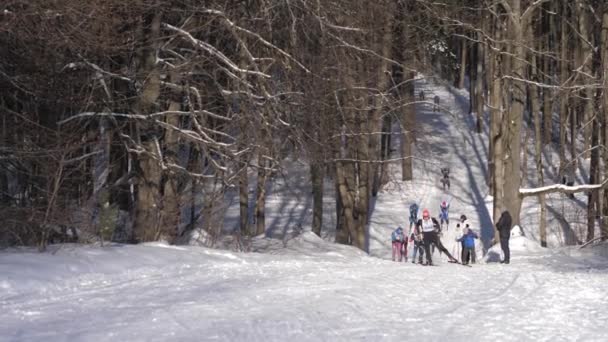 Rusia, Vladimir. 8 de febrero de 2020. Concursos de esquí - pista de esquí de Rusia . — Vídeos de Stock