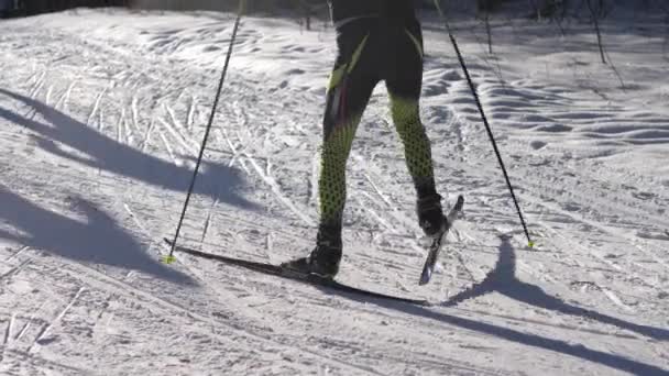 Rusko, Vladimire. 8. února2020. Soutěže lyže - lyžařská dráha Ruska. — Stock video
