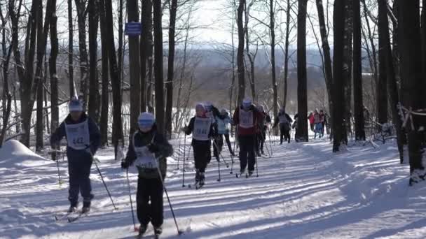 Rusland, Vladimir. 8 februari 2020. Wedstrijden ski - skipiste van Rusland. — Stockvideo