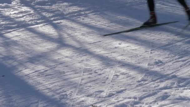 स्कीइंग में प्रतियोगिताएं। एक स्कीयर के पैरों के बंद-अप जो फ्रेम में सवारी करता है — स्टॉक वीडियो