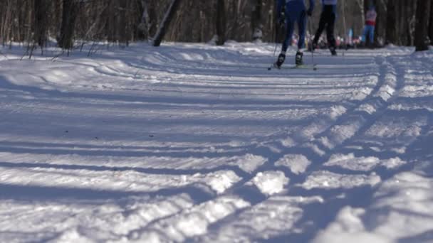 Compétitions de ski. Gros plan des jambes des skieurs arrivant à la ligne d'arrivée . — Video