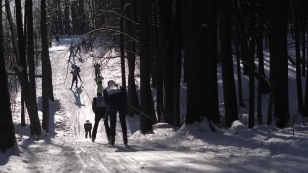 Wettkämpfe im Skifahren. Skifahrer gehen vom Berg in den Wald — Stockvideo